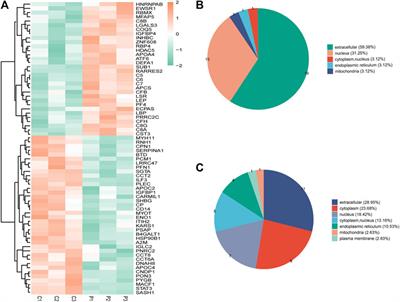 Proteomics and bioinformatics analysis of follicular fluid from patients with polycystic ovary syndrome